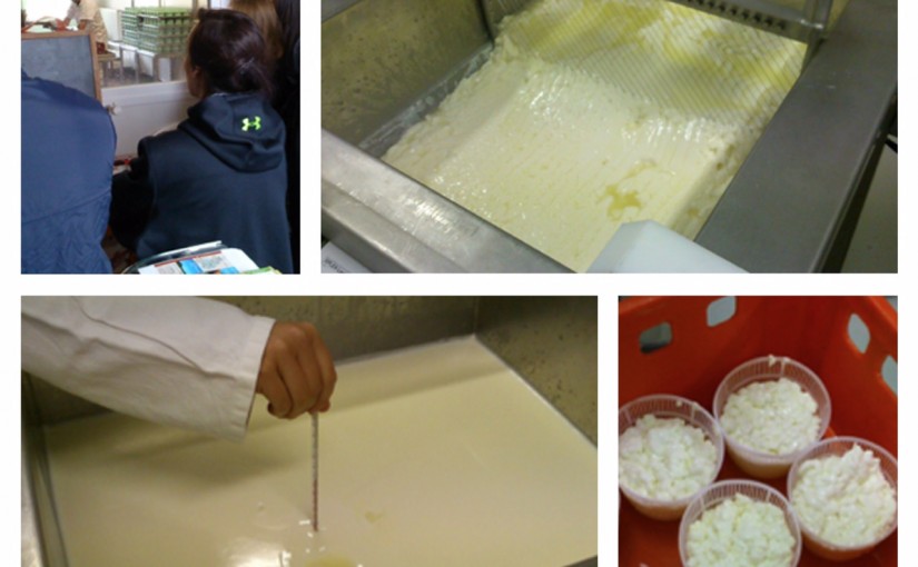 Les étudiants de 1ère année du BTS QIAB sur la route des fromages