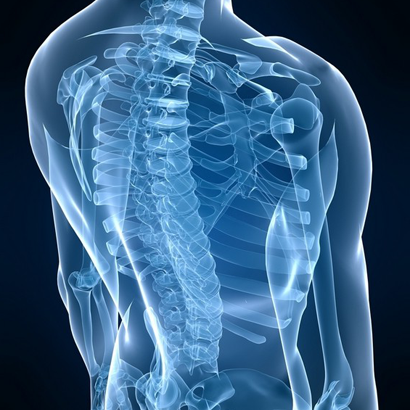 Les term STL visitent le PSR