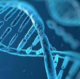 Le lycée au cœur de la recherche