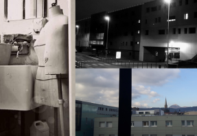 Résultats du concours photo