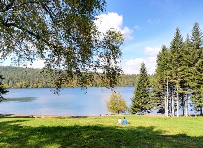 Intégration des SP3S