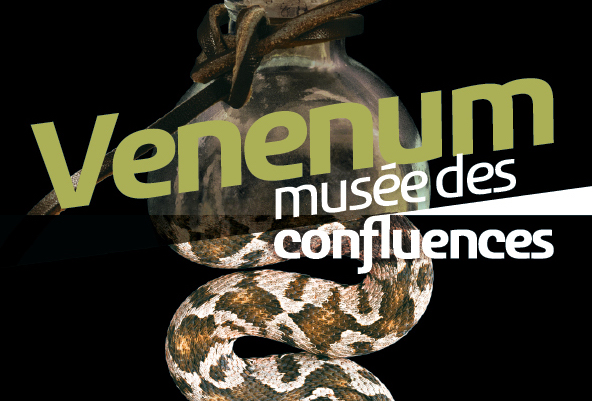 Les ST2S et la section ESF en visite à Lyon