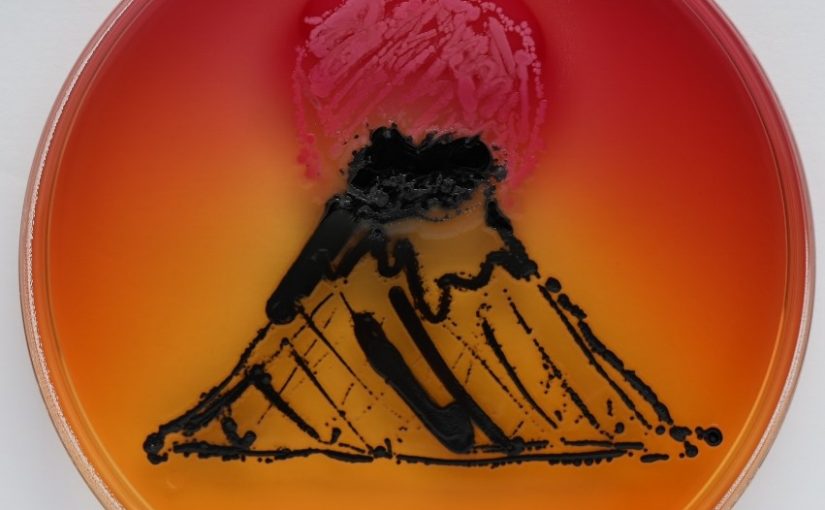 Concours Agar’Art 2020