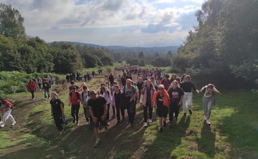 Intégration des classes de seconde