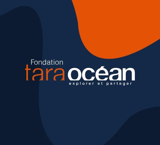 Étude de la biodiversité et prélèvements d’échantillons de plastiques à l’initiative de la fondation Tara Océan : Sortie d’une classe de seconde au bord de l’Allier