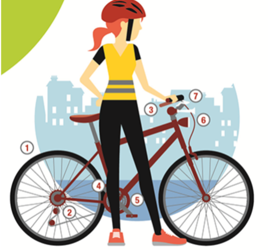 Classe environnement : ça roule !