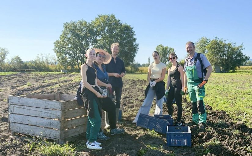Immersion dans l’agriculture sociale et solidaire avec Biaujardin
